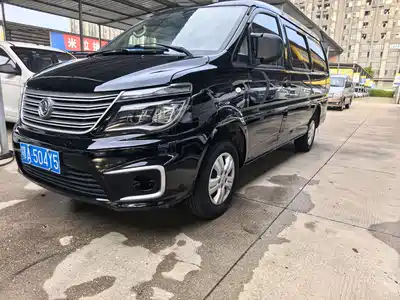 Dongfeng Fengxing Lingzhi 2021