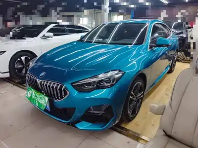 BMW 2 Series (Import) 2024