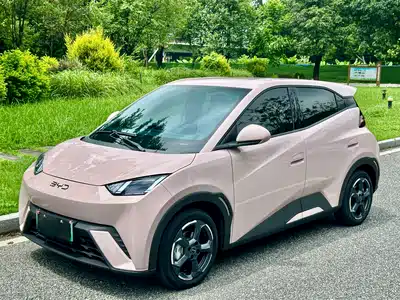 BYD Seagull 2024