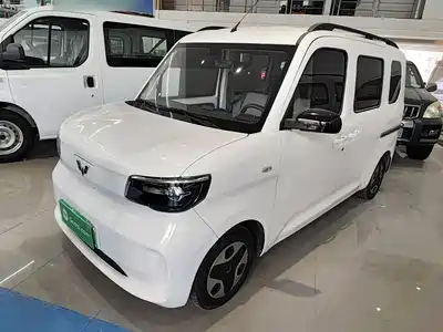 Wuling Motors Zhiguang NEV 2025