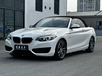 BMW 2 Series (Import) 2018
