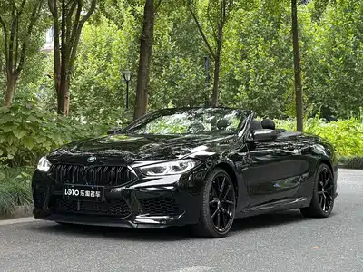 BMW 8 Series 2020