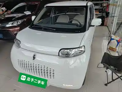 Ora White Cat 2021