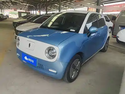 Ora Black Cat 2021