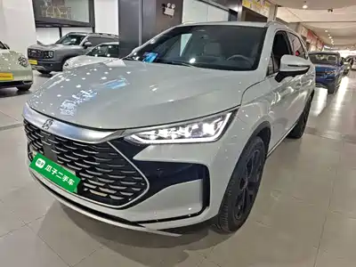 BYD Tang New Energy 2024