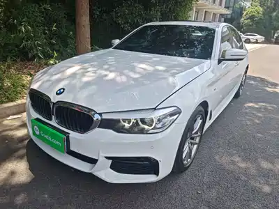 BMW 5 Series (Import) 2018