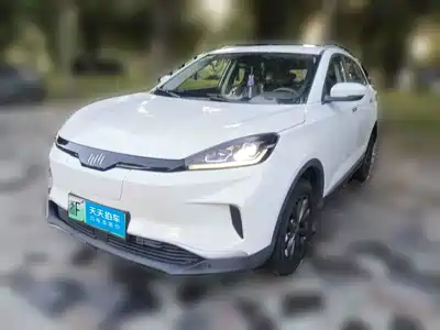 Weltmeister EX5 2019