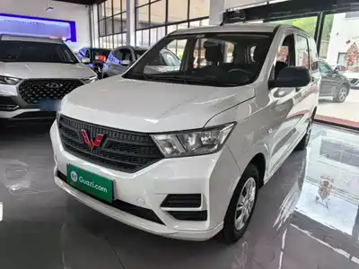 Wuling Motors Hongguang 2024