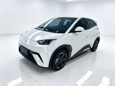 BYD Seagull 2024