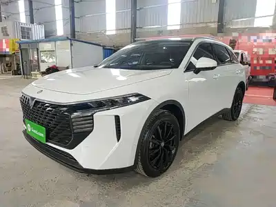 Venucia Big V 2022