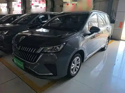 Wuling Motors Jiachen 2024