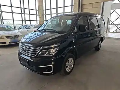 Dongfeng Fengxing Lingzhi 2022