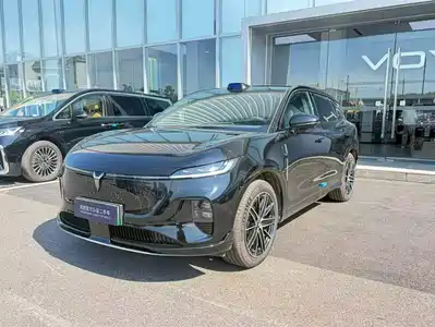 Voyah Auto Zhiyin 2025