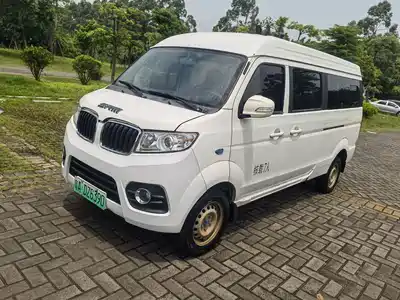 SRM Xinyuan New Energy Little Sea Lion EV 2021