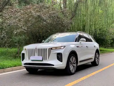 Hongqi E-HS9 2023