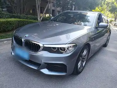 BMW 5 Series (Import) 2019
