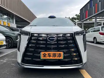 GAC Trumpchi Xiangwang M8 2025