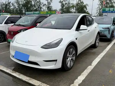 Tesla Model Y 2021