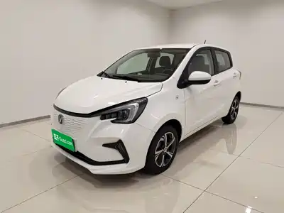 Changan Benben E-Star 2021