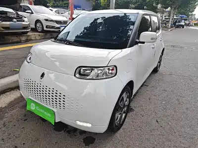Ora White Cat 2021