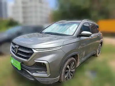 Baojun 530 2019