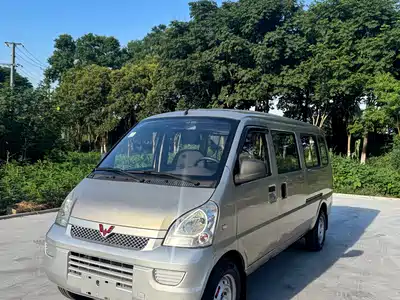Wuling Motors Rongguang 2019