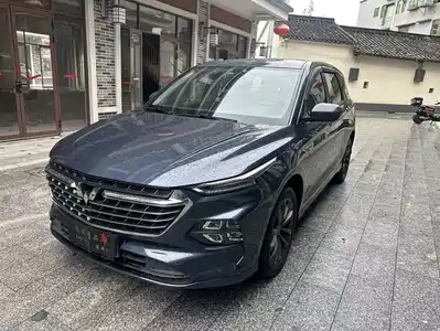 Wuling Motors Victory 2021