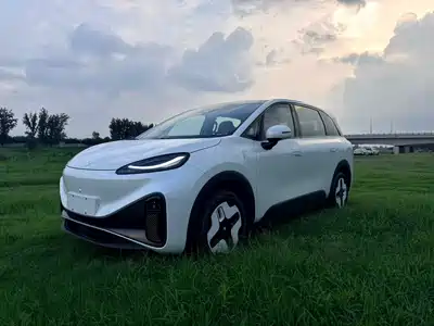 ARCFOX Koala S 2024