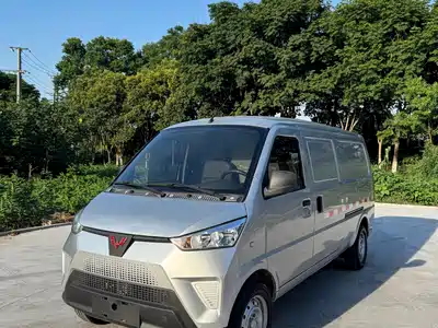 Wuling Motors EV50 2022