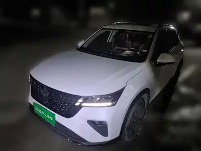 Wuling Motors Xingchi 2024