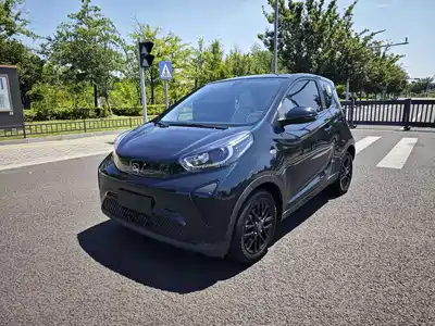 QQ New Energy Little Ant 2024