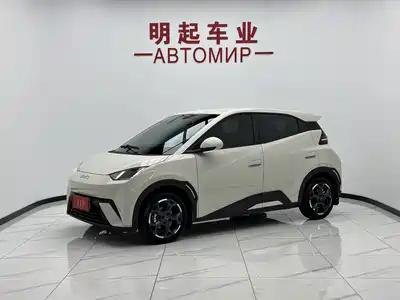 BYD Seagull 2024