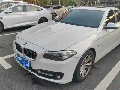 BMW 5 Series (Import) 2016