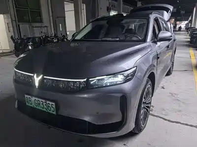 Voyah Auto FREE 2025