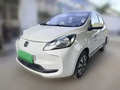 Changan Benben E-Star 2021