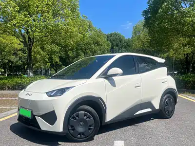 BYD Seagull 2025
