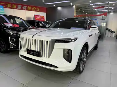 Hongqi E-HS9 2021