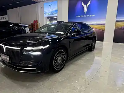 Voyah Auto Zhuiguang L 2025