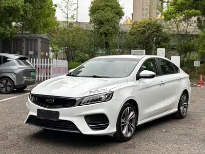 Geely Binrui 2019