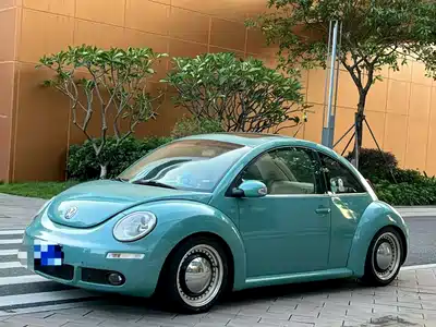 Volkswagen Beetle 2010