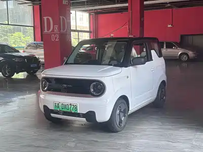 Geely Galaxy Panda 2023