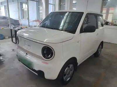 Geely Galaxy Panda 2025