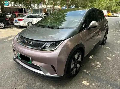 BYD Dolphin 2022