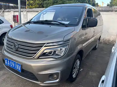 Dongfeng Fengxing Lingzhi 2020