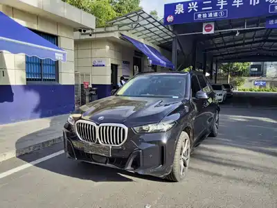 BMW X5 2024