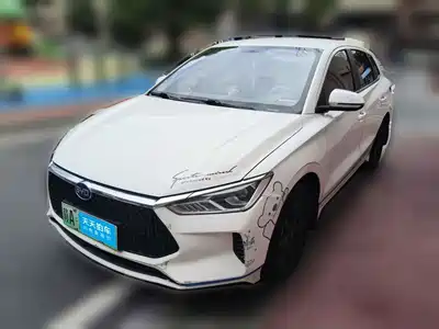 BYD e2 2022