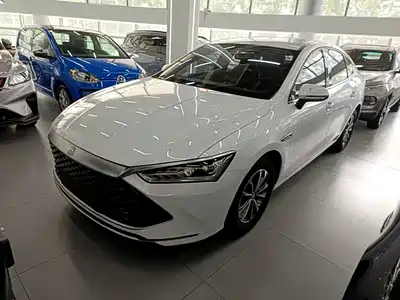 BYD Qin PLUS 2021