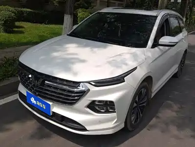 Wuling Motors Victory 2020