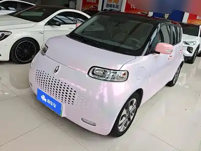 Ora White Cat 2022