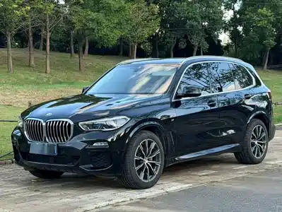 BMW X5 (Import) 2019